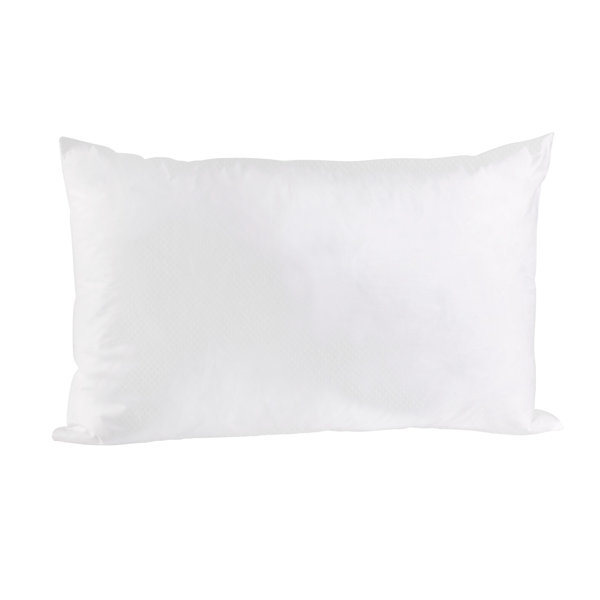 Alwyn Home Lockwood Solid Colour Indoor/Outdoor Pillow Insert & Reviews